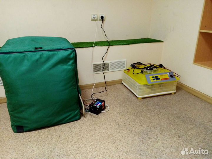 Ремонт инкубаторов