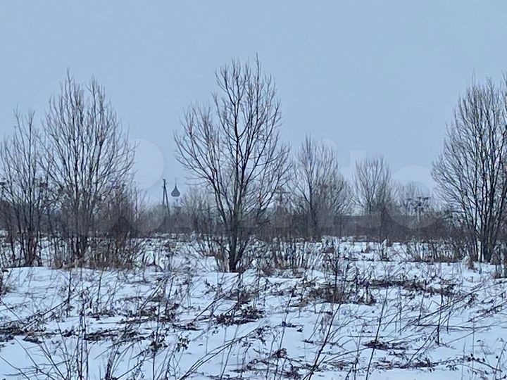 Участок 50 сот. (ИЖС)