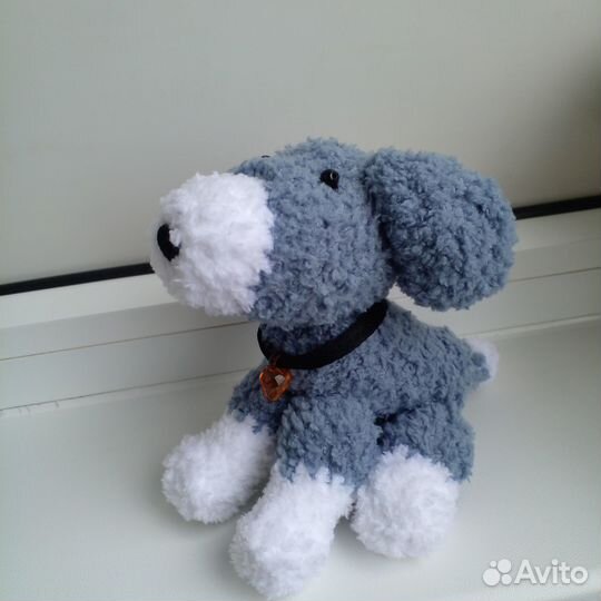 Собачки и кошечки