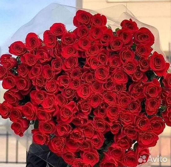 Метровые розы Доставка цветов