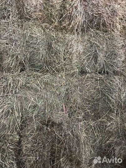 Сено и Опилки в тюках