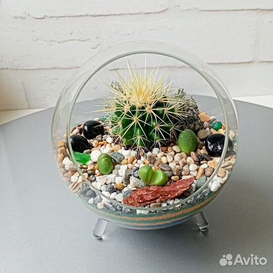 Флорариумы в наличии и под заказ