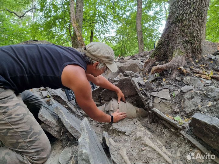 Репетитор по истории и обществознанию