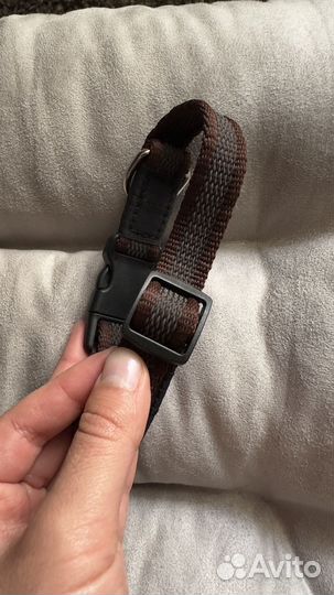 Набор для щенка