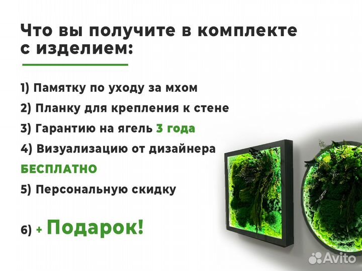 Вывеска мох для организации