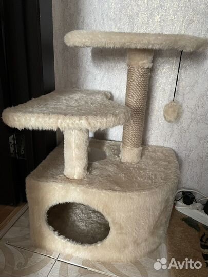 Когтеточка