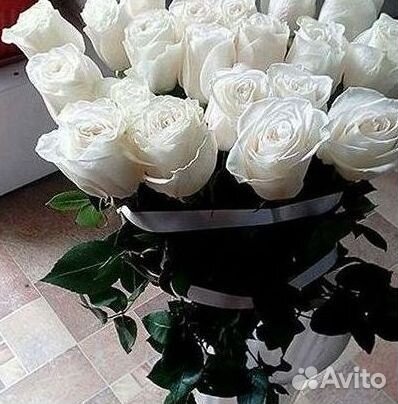 Высокие Розы Гиганты Доставка Круглосуточно