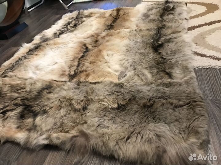 Одеяло из шкуры волка