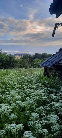 Дом 40 м² на участке 11 сот.