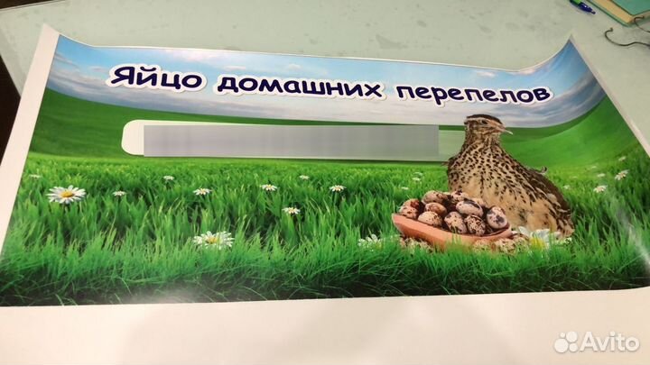 Вывеска, баннера, адресные таблички, визитки