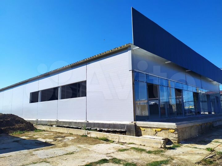 Торговая площадь, 1000 м²