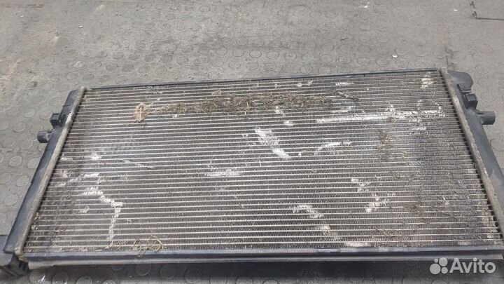 Радиатор охлаждения двигателя Skoda Octavia (A7)