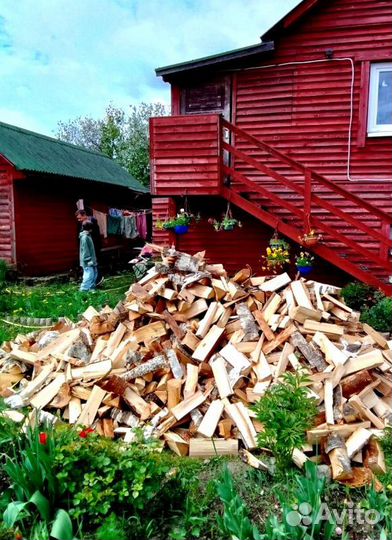 Дрова Береза любой объем от производителя в Приозе