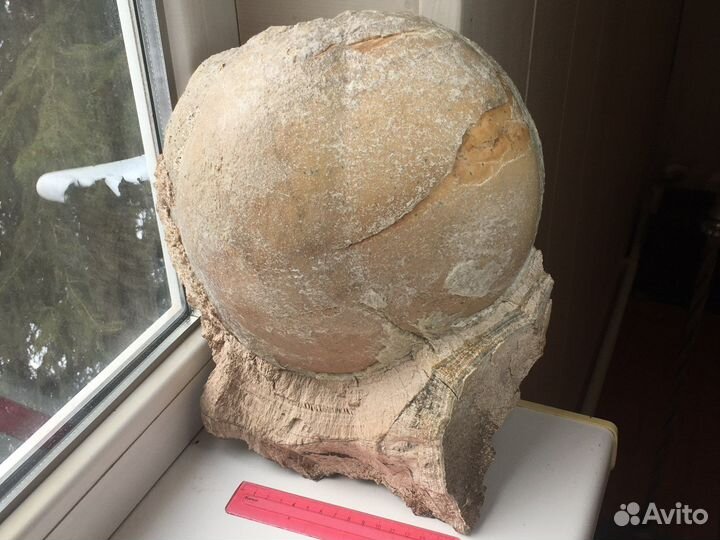 Продаётся шикарный образец