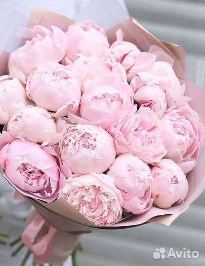 Пионы Букет