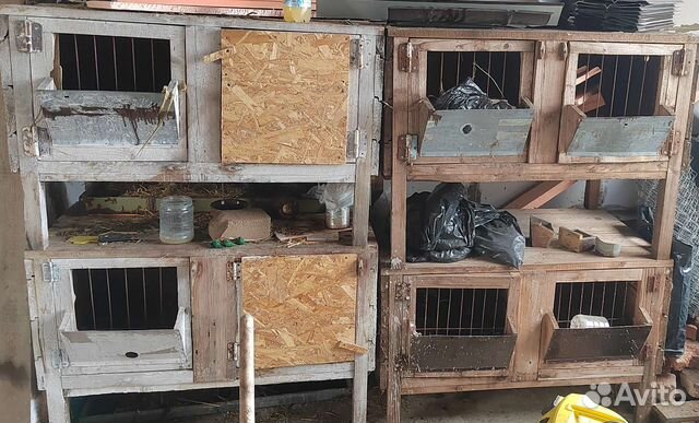 Клетки для кролика