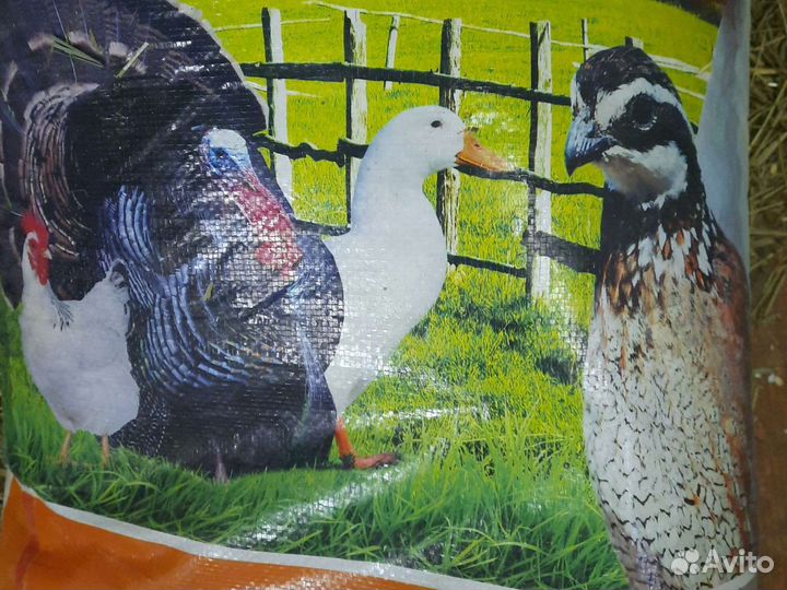 Purina пурина аналог мегакорма