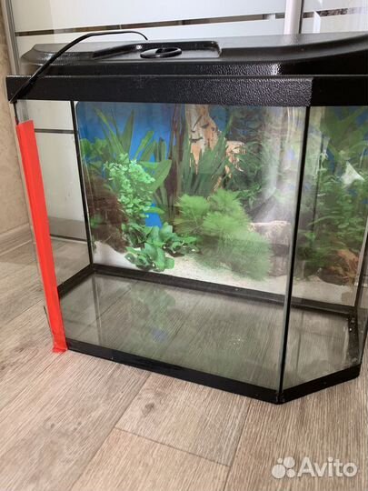 Аквариум на 70 литров одна сторона протекает