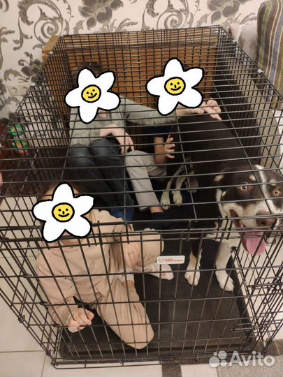Клетка для большой собаки