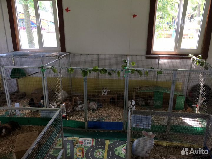 Клетки для животных