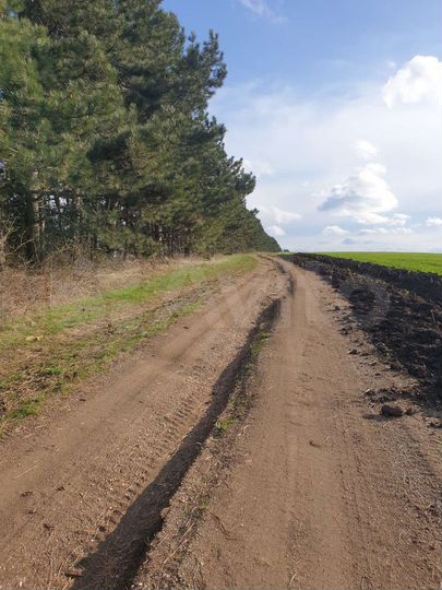 Участок 3,77 га (СНТ, ДНП)