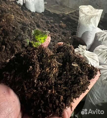 Навоз Перегной с доставкой