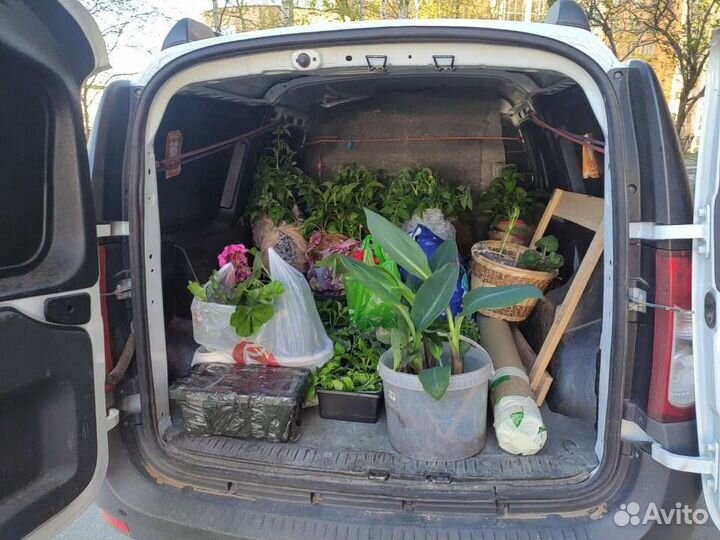 Грузоперевозки пикап, фургон, грузчики