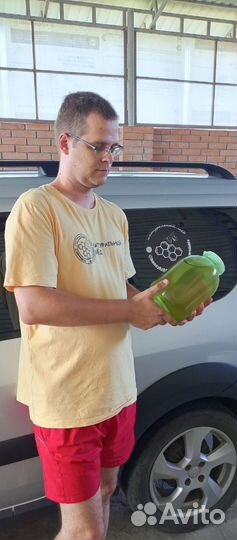 Качественный мед майский из первых рук