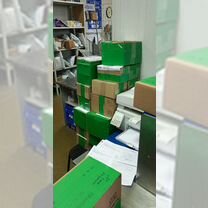 Крупноплодный семейный лук, народной селекции