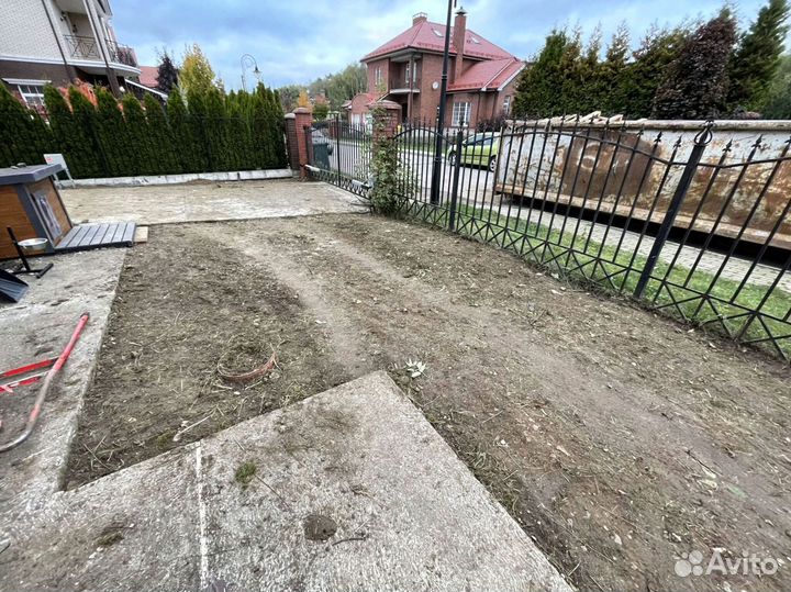 Рулонный газон