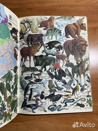 Мир вокруг нас, георгафический атлас, 1994г СССР