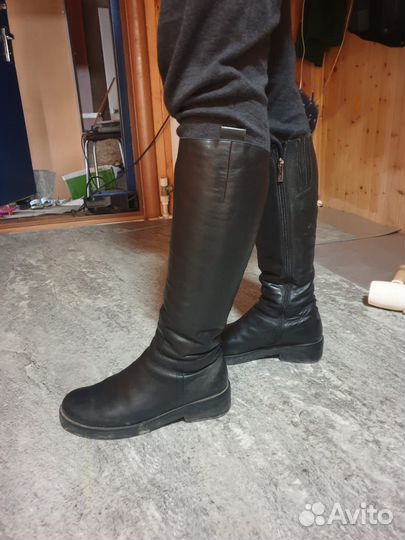 Сапоги эконика 38 зимние