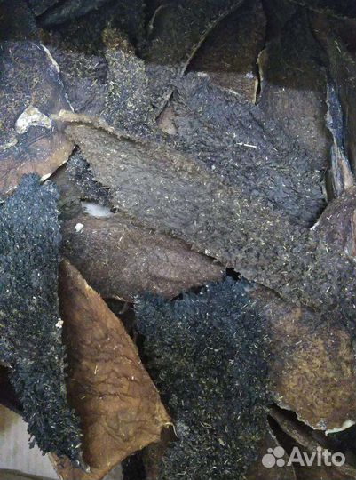 Рубец говяжий