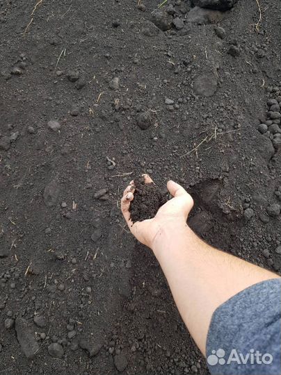 Земля чернозем