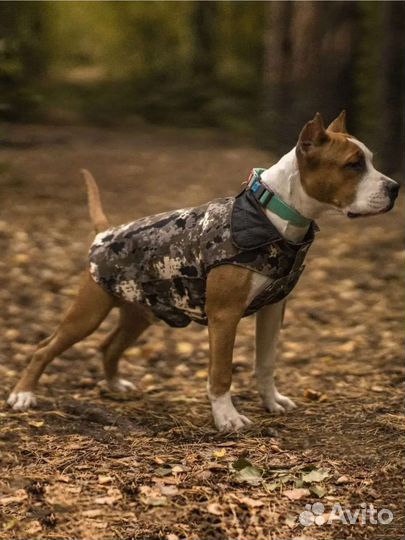 Попона для собак