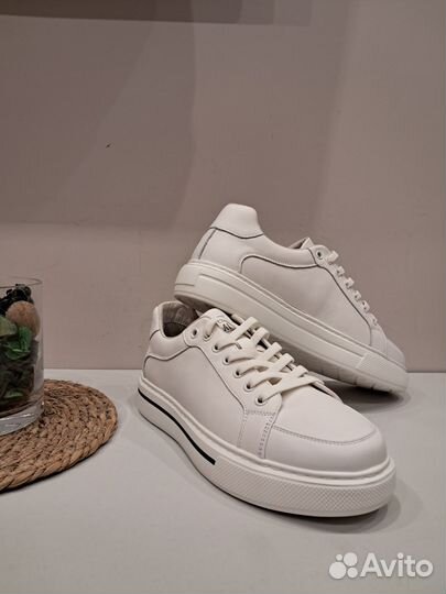 Кеды кожаные Romitan