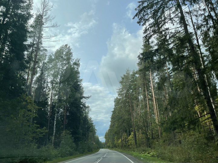 Участок 6,3 сот. (СНТ, ДНП)