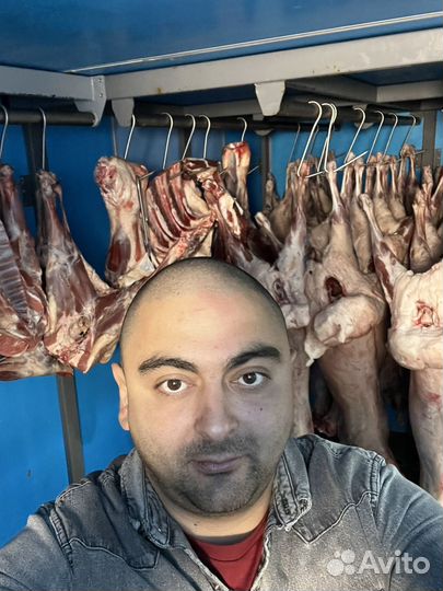 Ремонт холодильных морозильных камер чиллеров