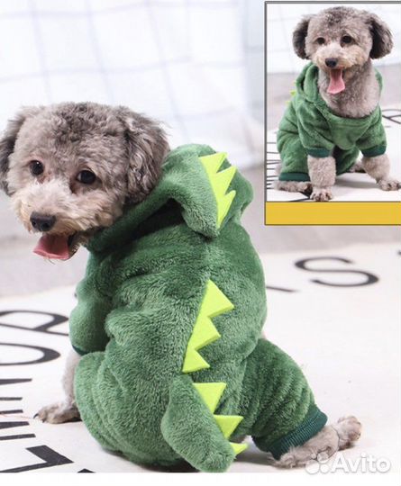 Новая одежда для собаки