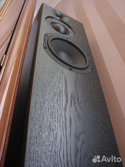 Акустика Styleacoustic ST100TL Serenata