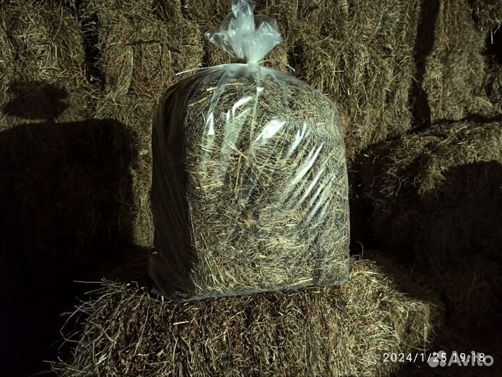 Сено солома в Пос Аннино