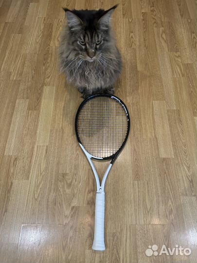 Ракетка head speed mp