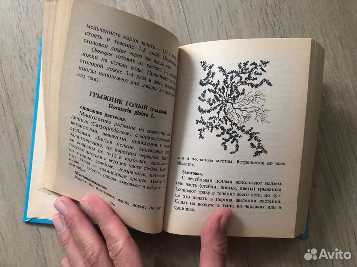 Лекарственные растения книга