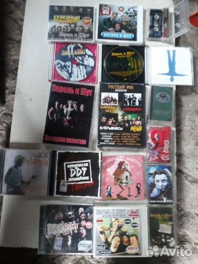 Сддиски король шут