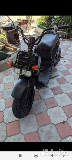 Хонда зуммер honda zoomer