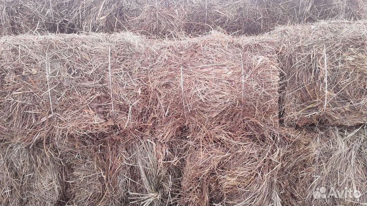 Солома-сено