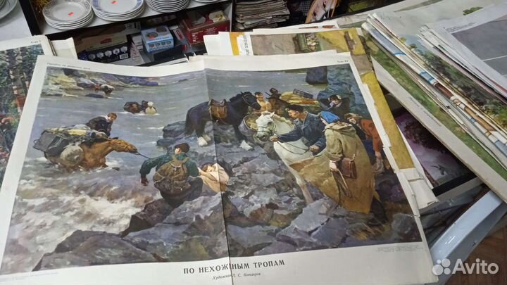 Плакаты по развитию речи, природоведение