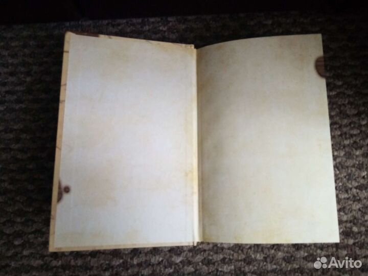 Книга Диппер и Мэйбел сокровища и пираты времени