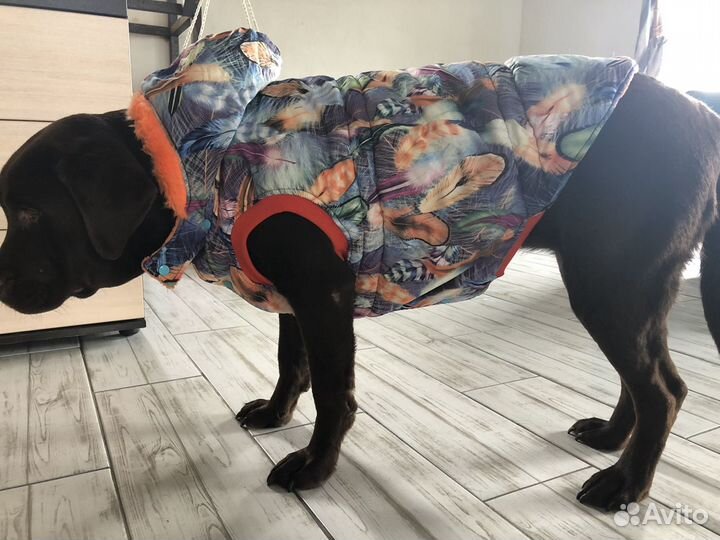 Жилетка зимняя для собак for my dogs