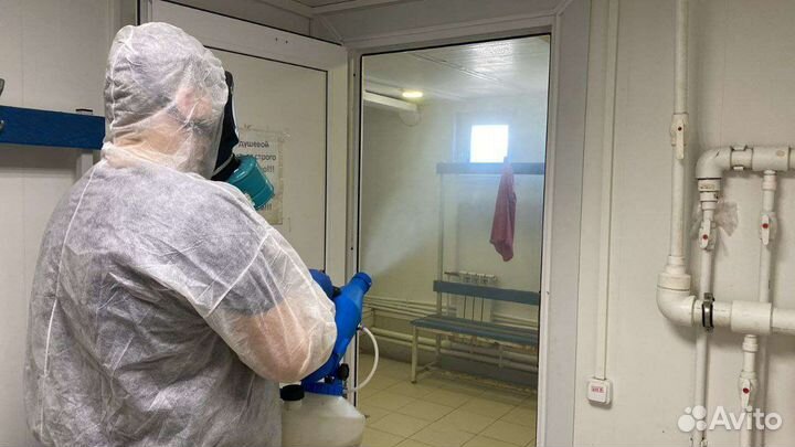 Уничтожение клопов,травля тараканов, клещей,ос